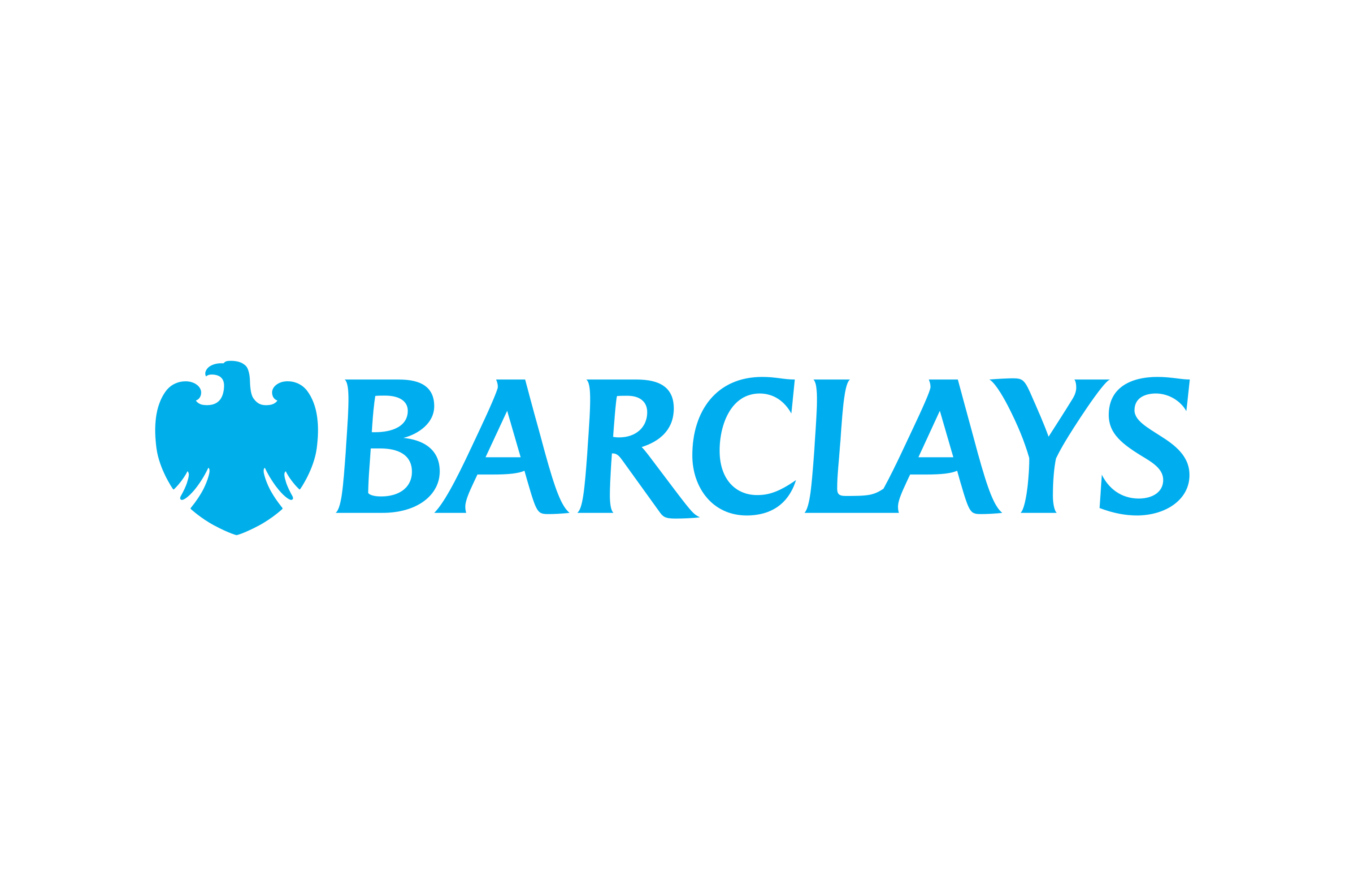 Partner Logo